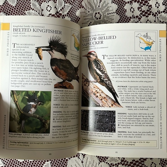 AUDUBON North American Birdfeeder Handbook 1992 First Edition Hardcover. Birding - Picture 8 of 12